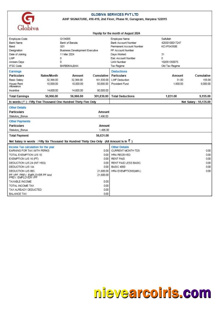 Globiva Services payslip